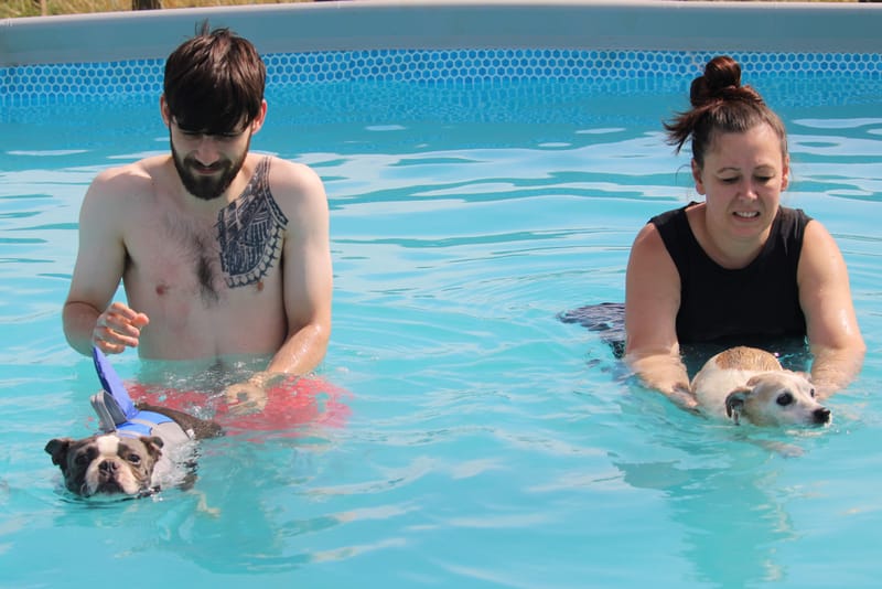 June Sale Sale Sale Unlimited Outdoor or Indoor Pool Sale!