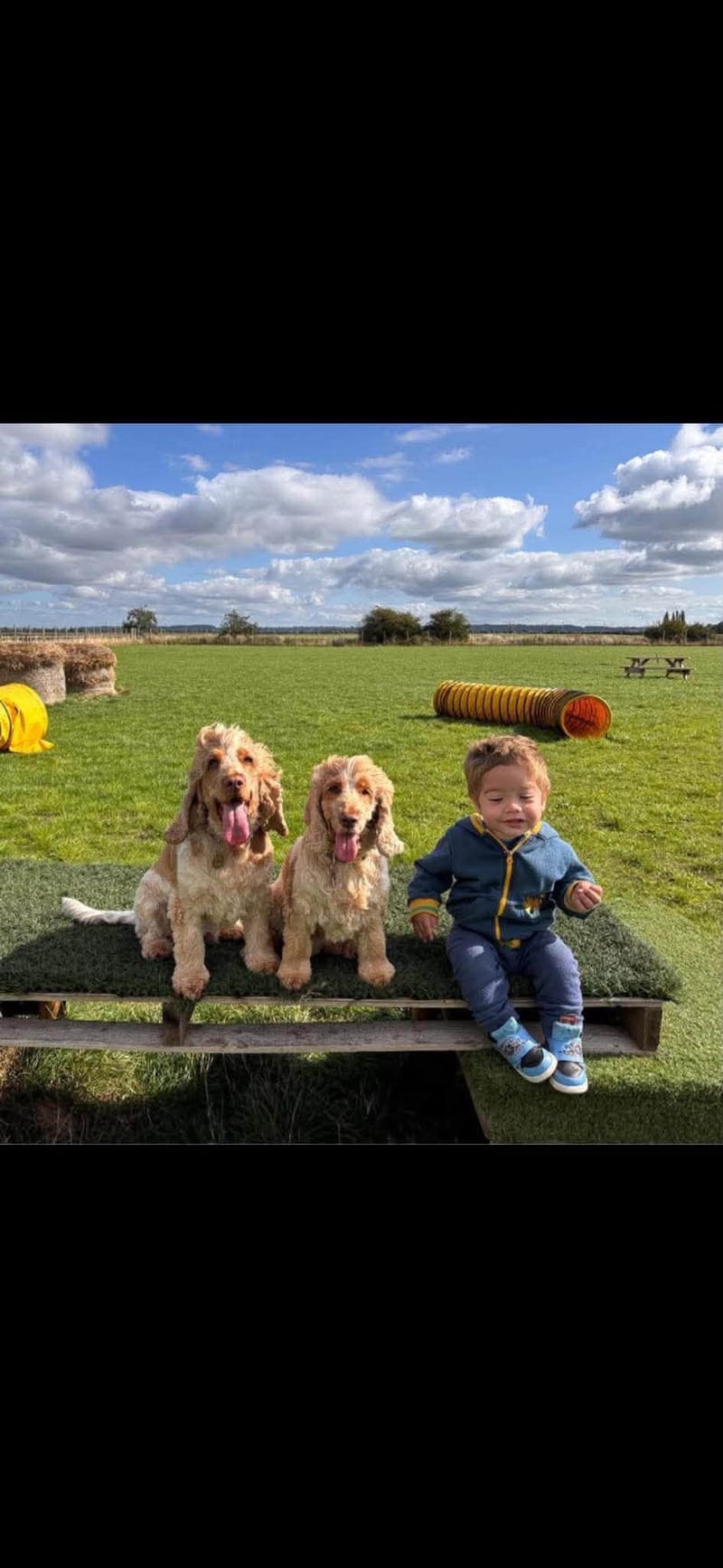 January 2027 Come Every Day Field