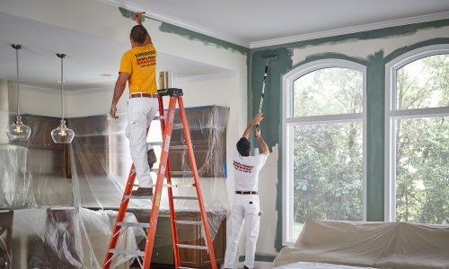 Transform Your Space with Expert Remodel Painting in Ottawa – Dura Homes