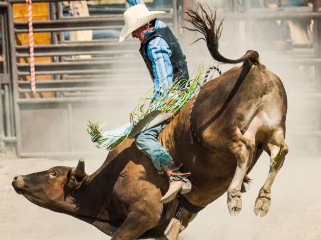 KC AMERICAN ROYAL RODEO