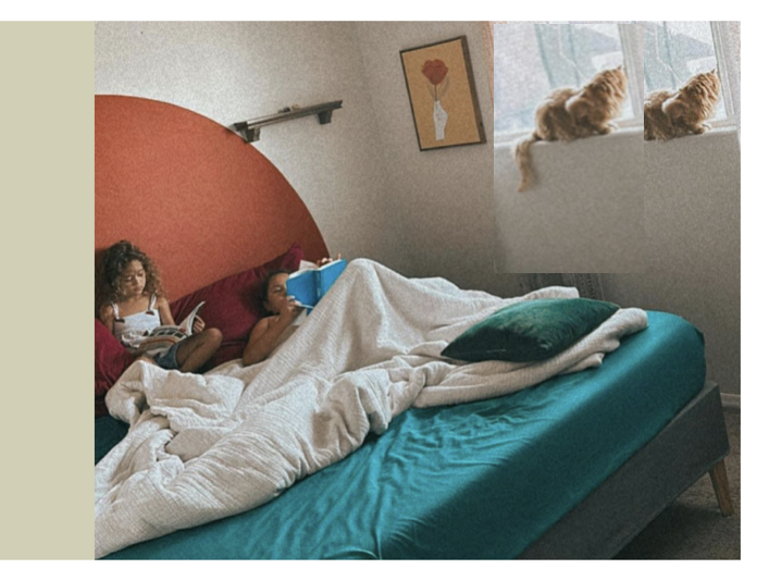 What and where are they? ¿Qué son y dónde están?