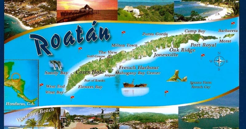 V.I.P CUSTOMIZE $50PP