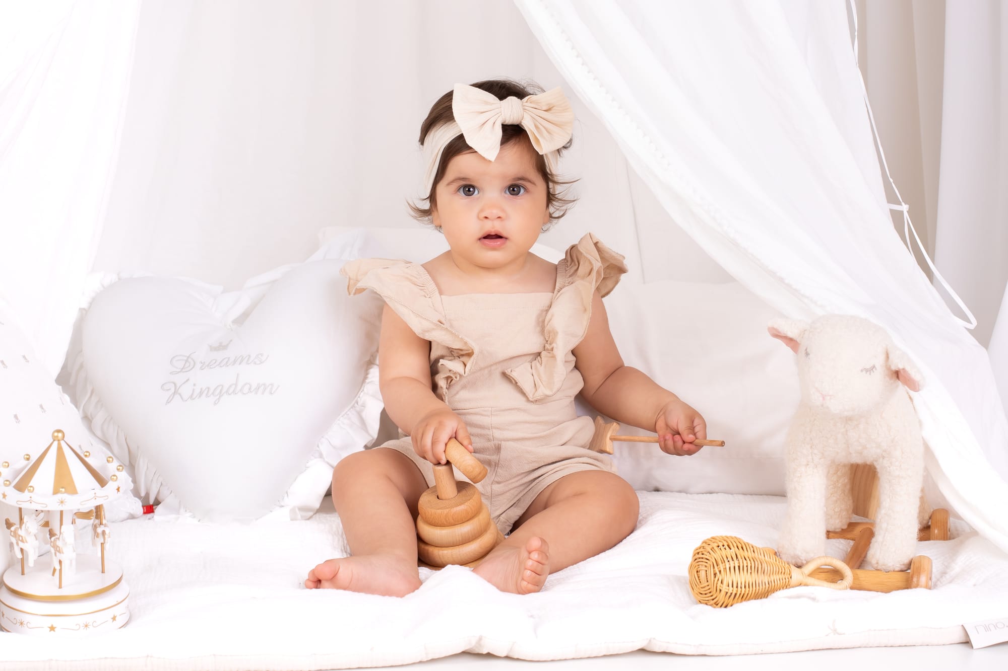 פרטי החבילה