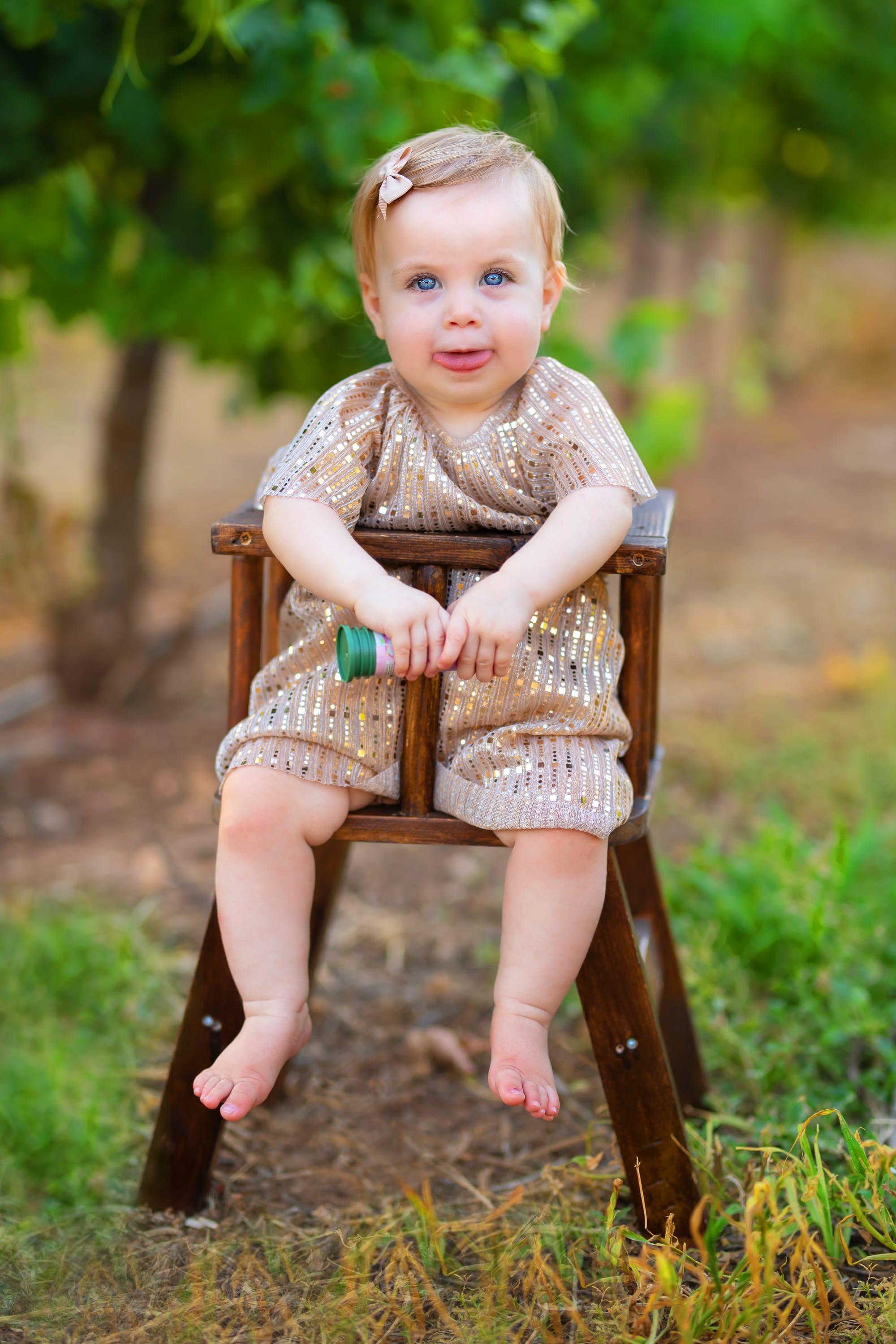 פרטי החבילה