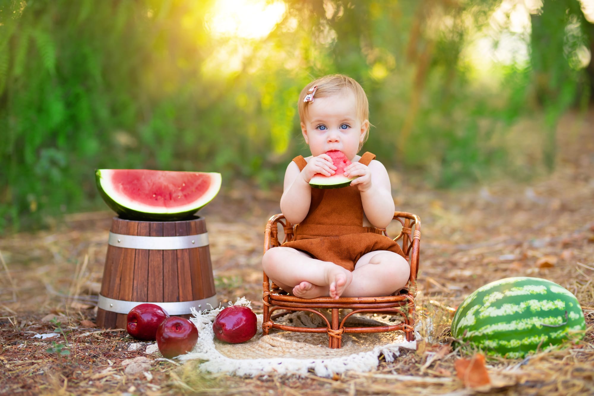 פרטי החבילה