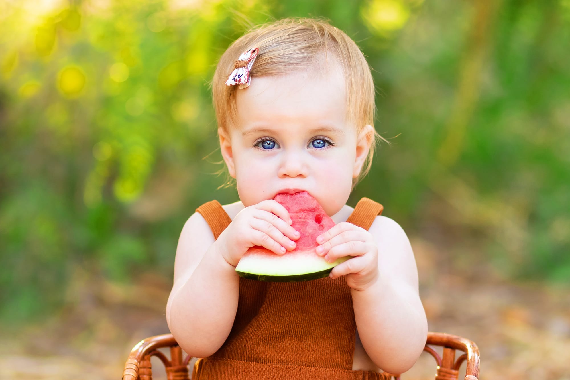 פרטי החבילה