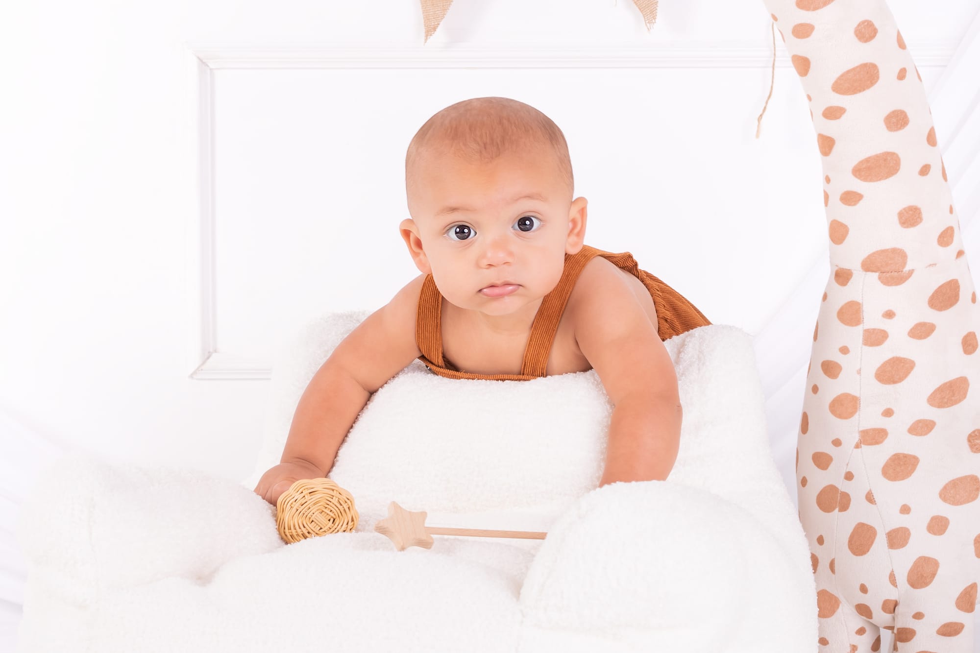 פרטי החבילה