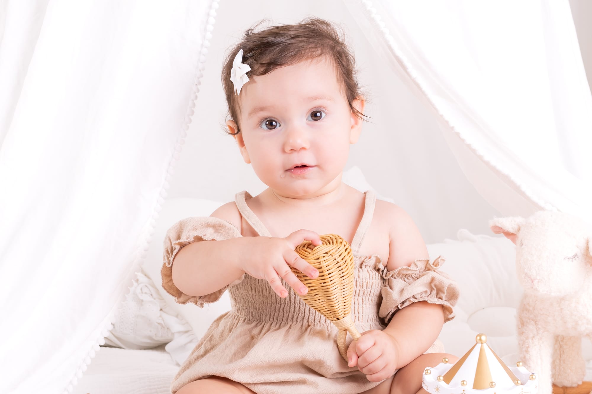 פרטי החבילה