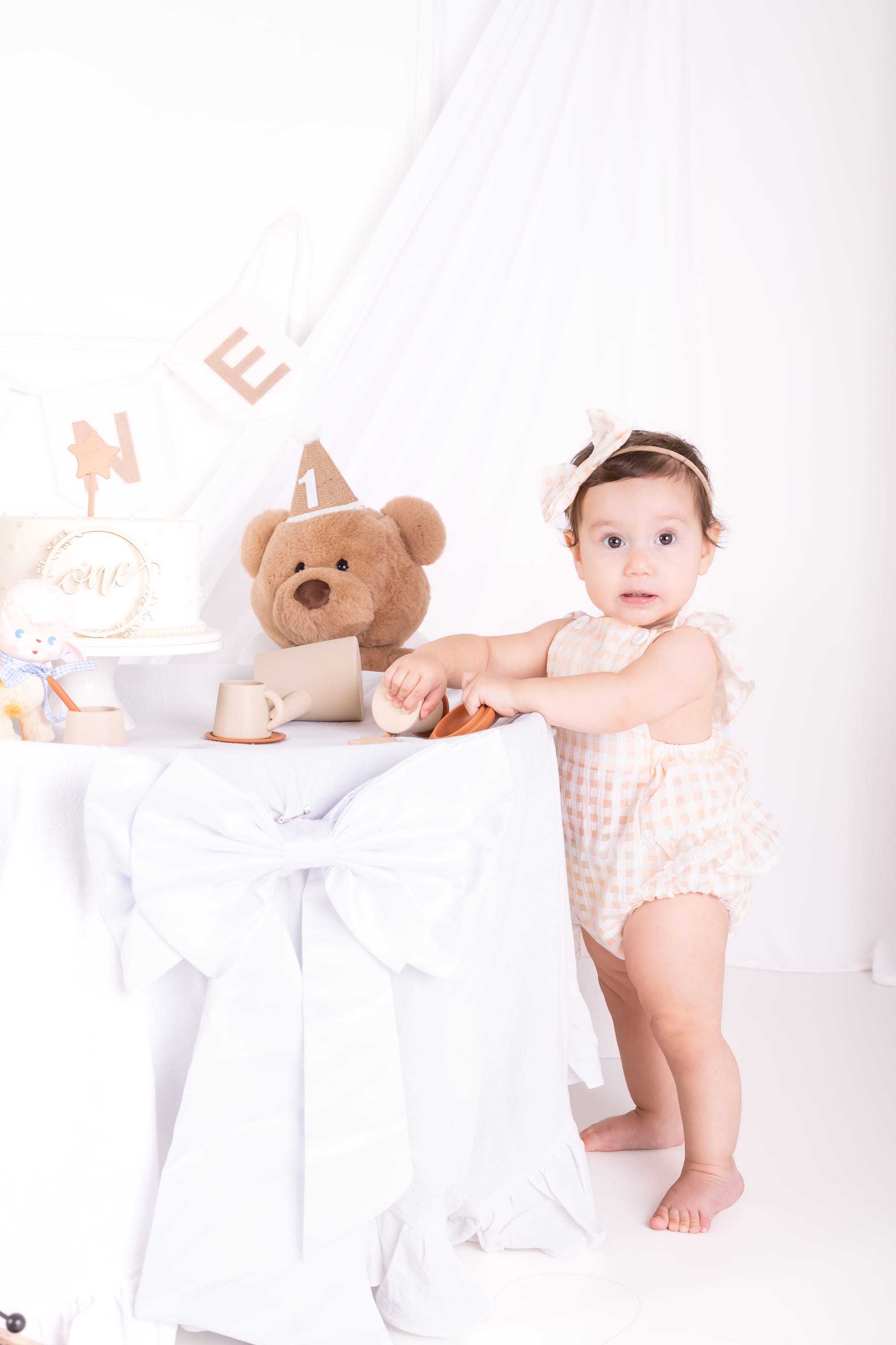 פרטי החבילה