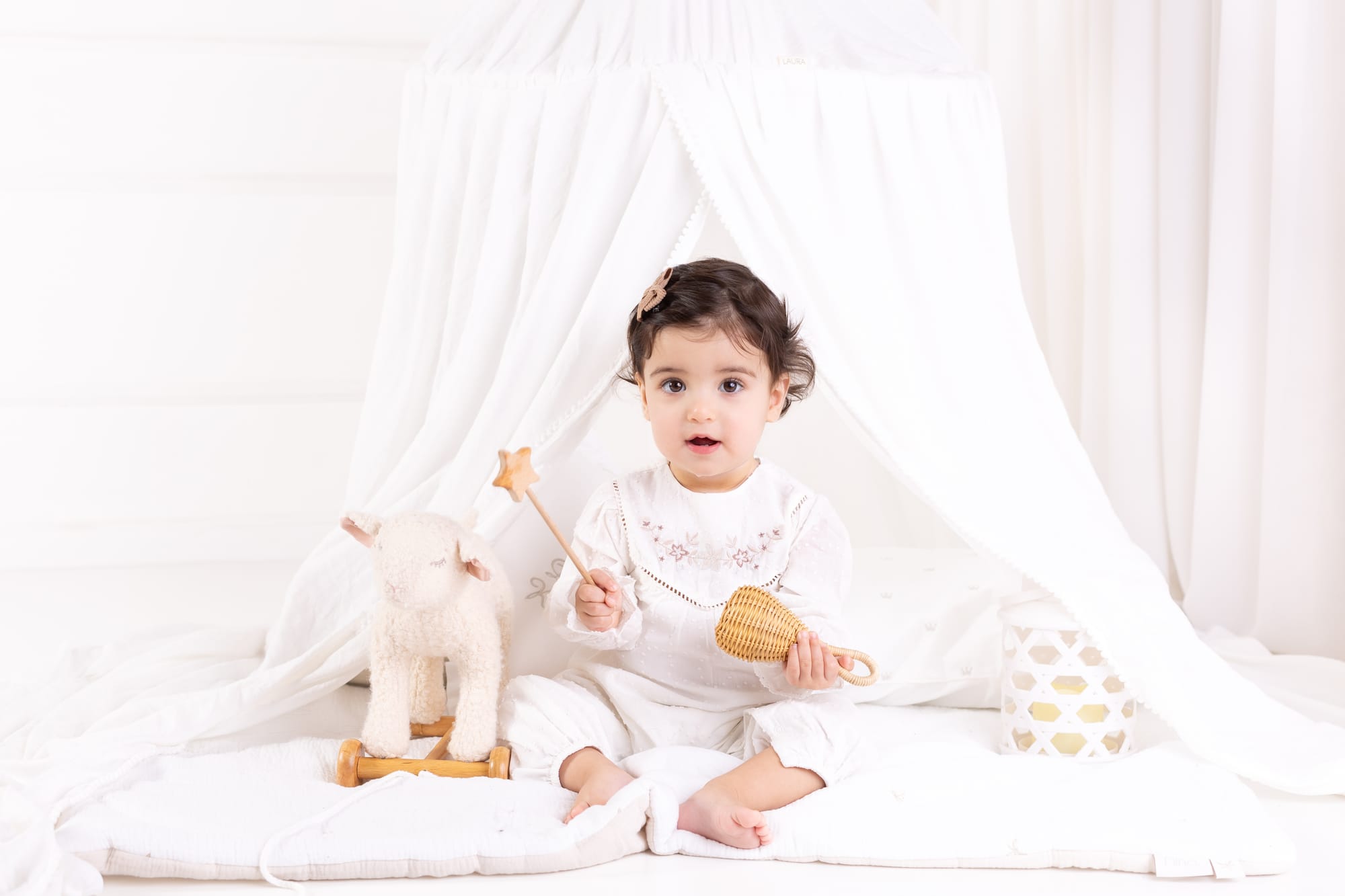 פרטי החבילה