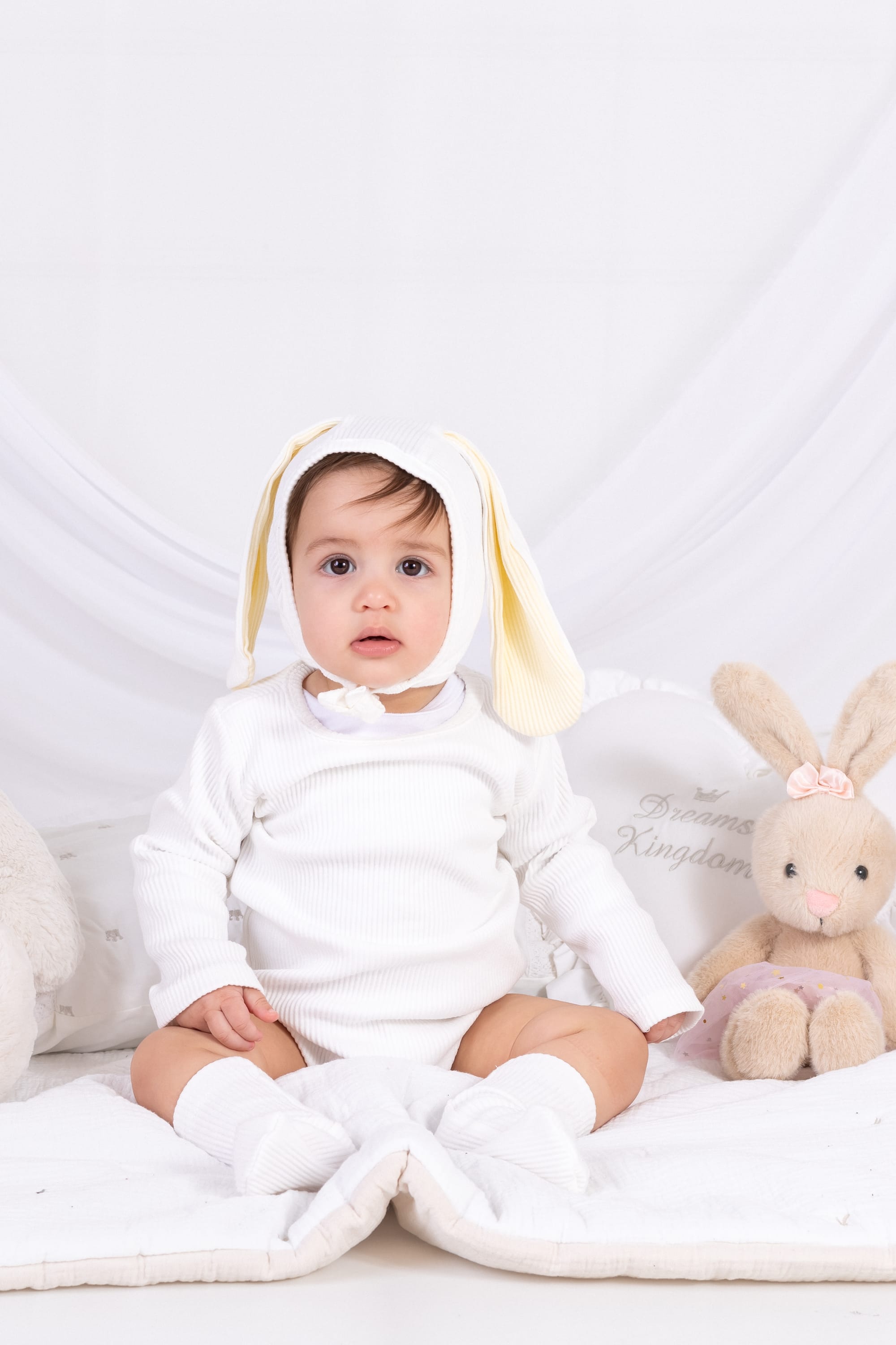 פרטי החבילה