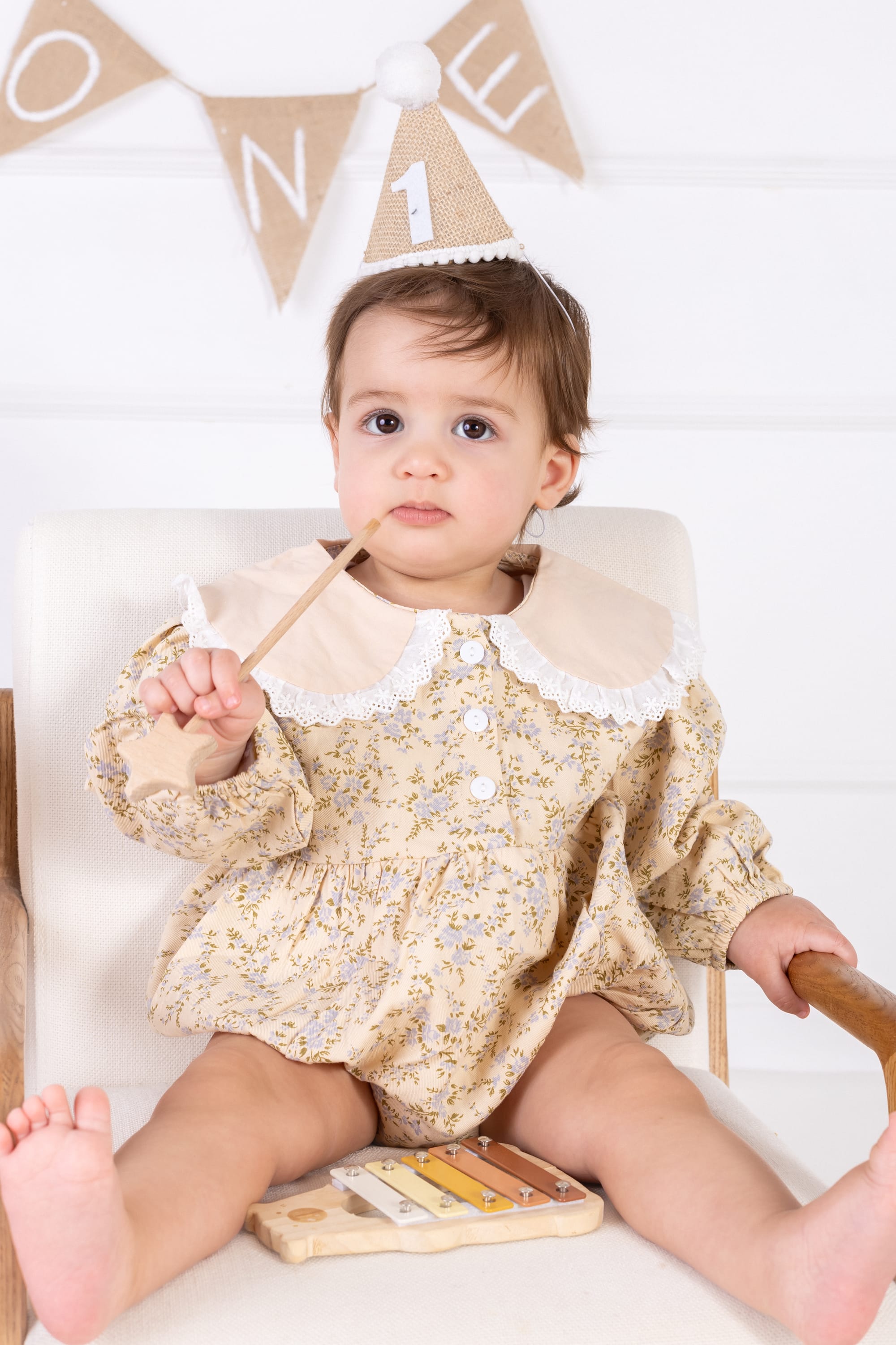 פרטי החבילה