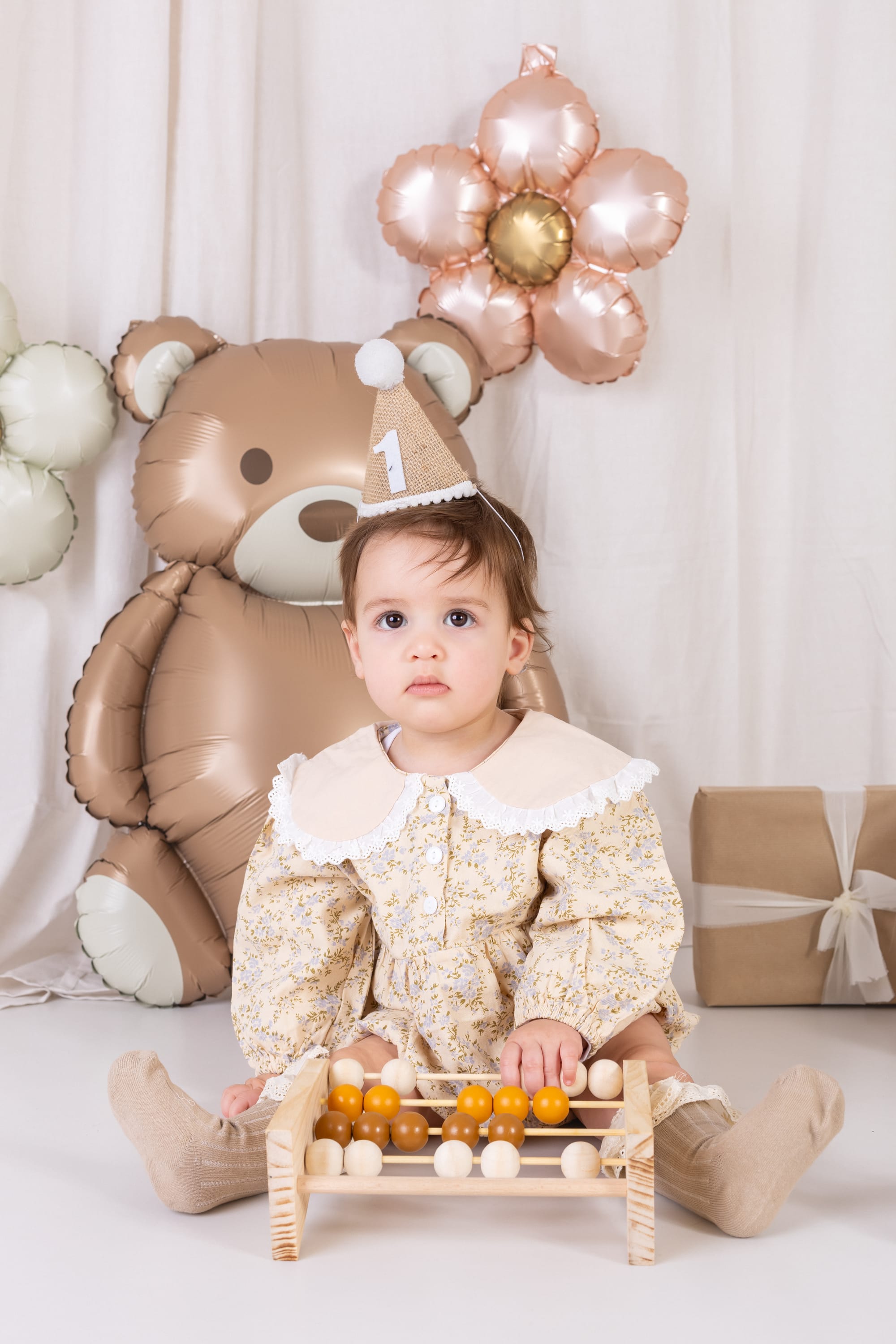 פרטי החבילה