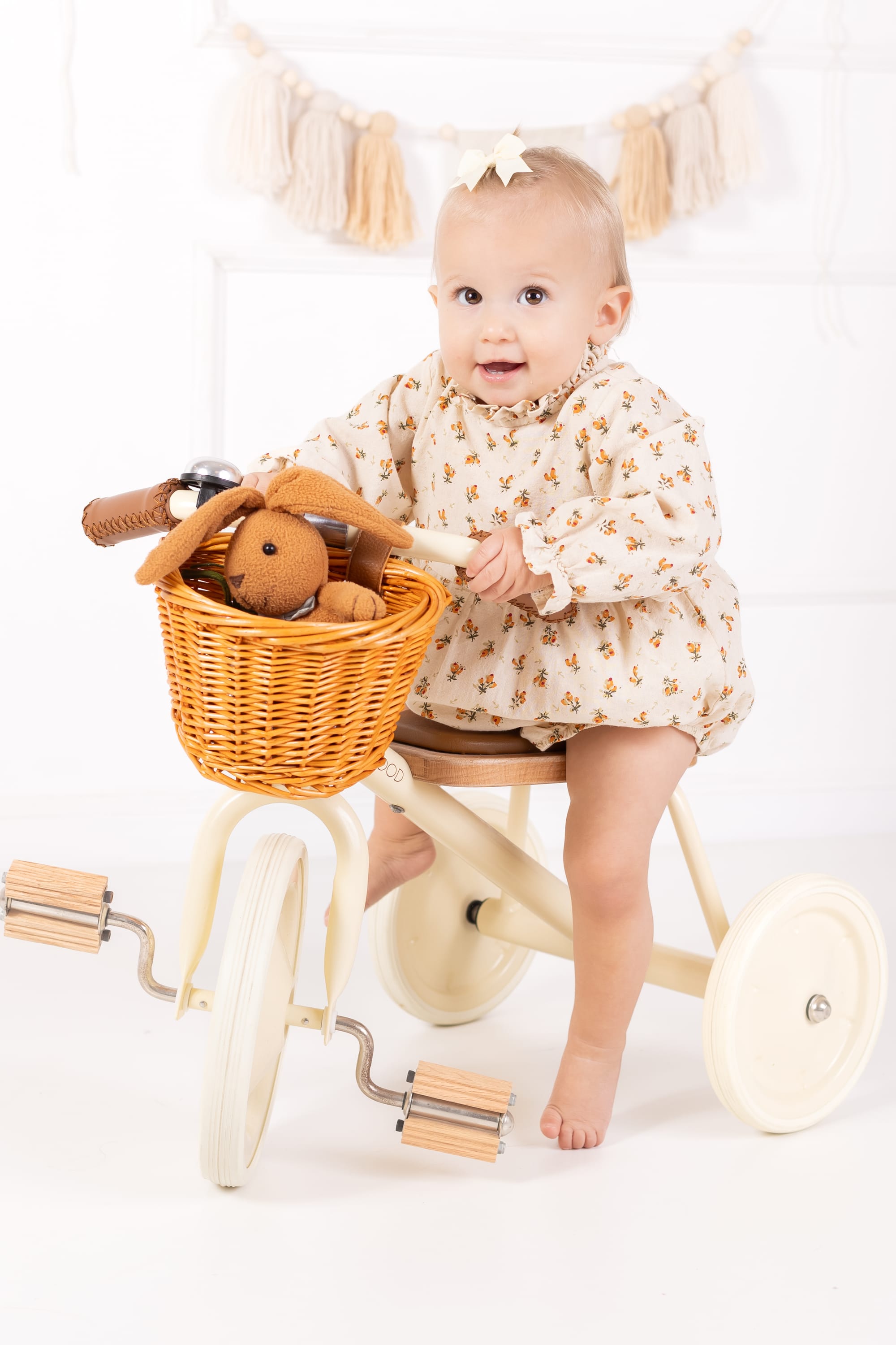 פרטי החבילה