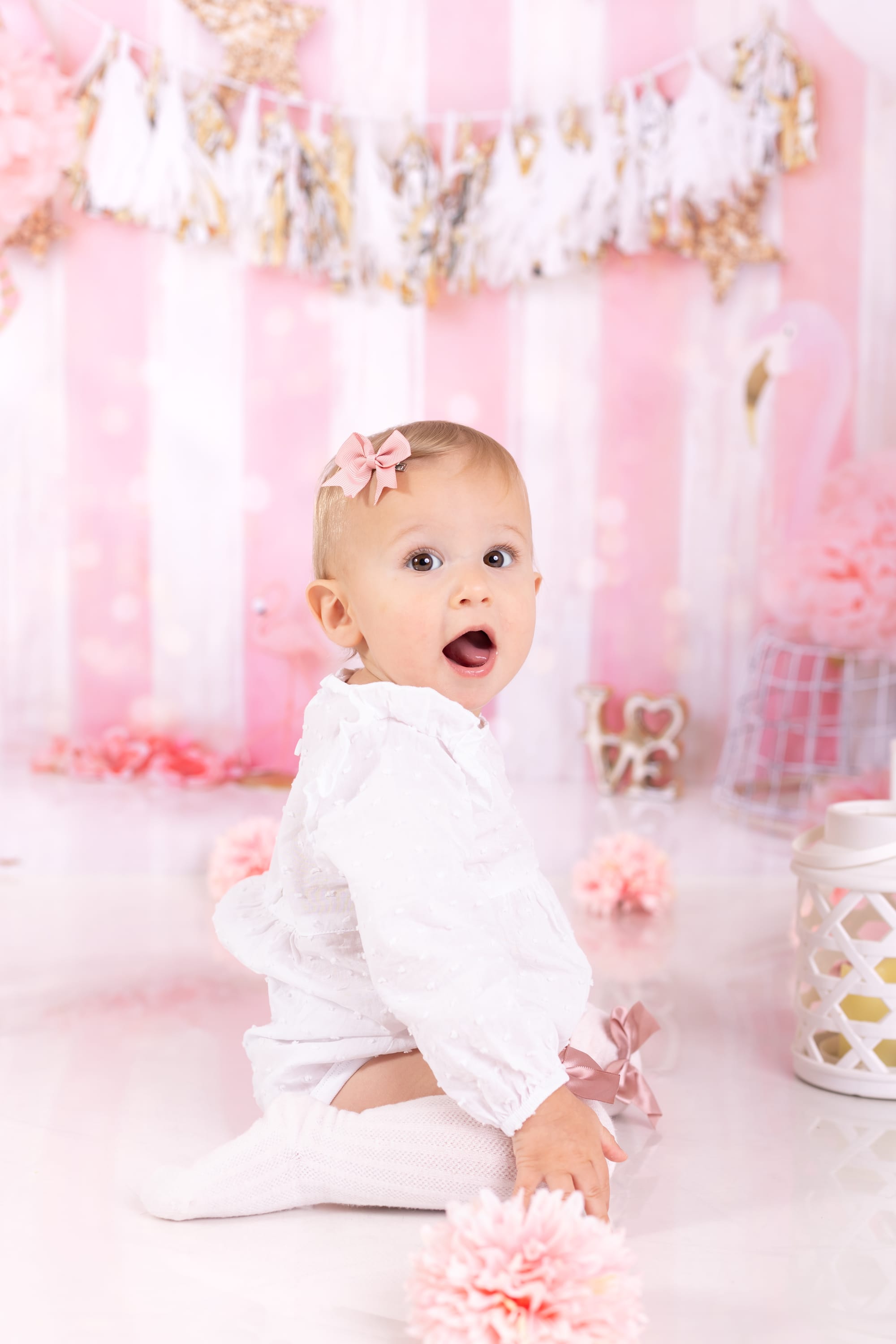 פרטי החבילה