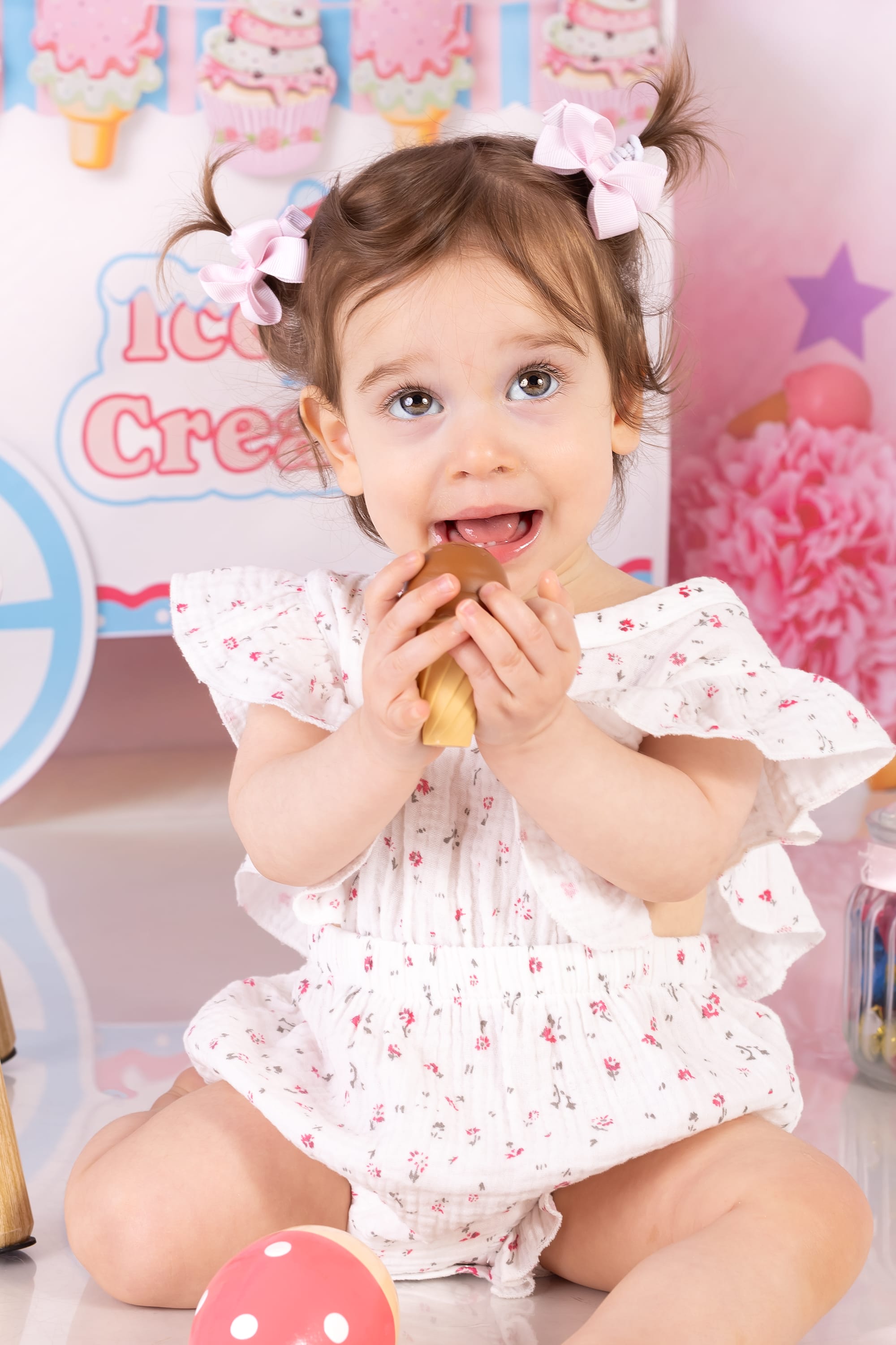 פרטי החבילה