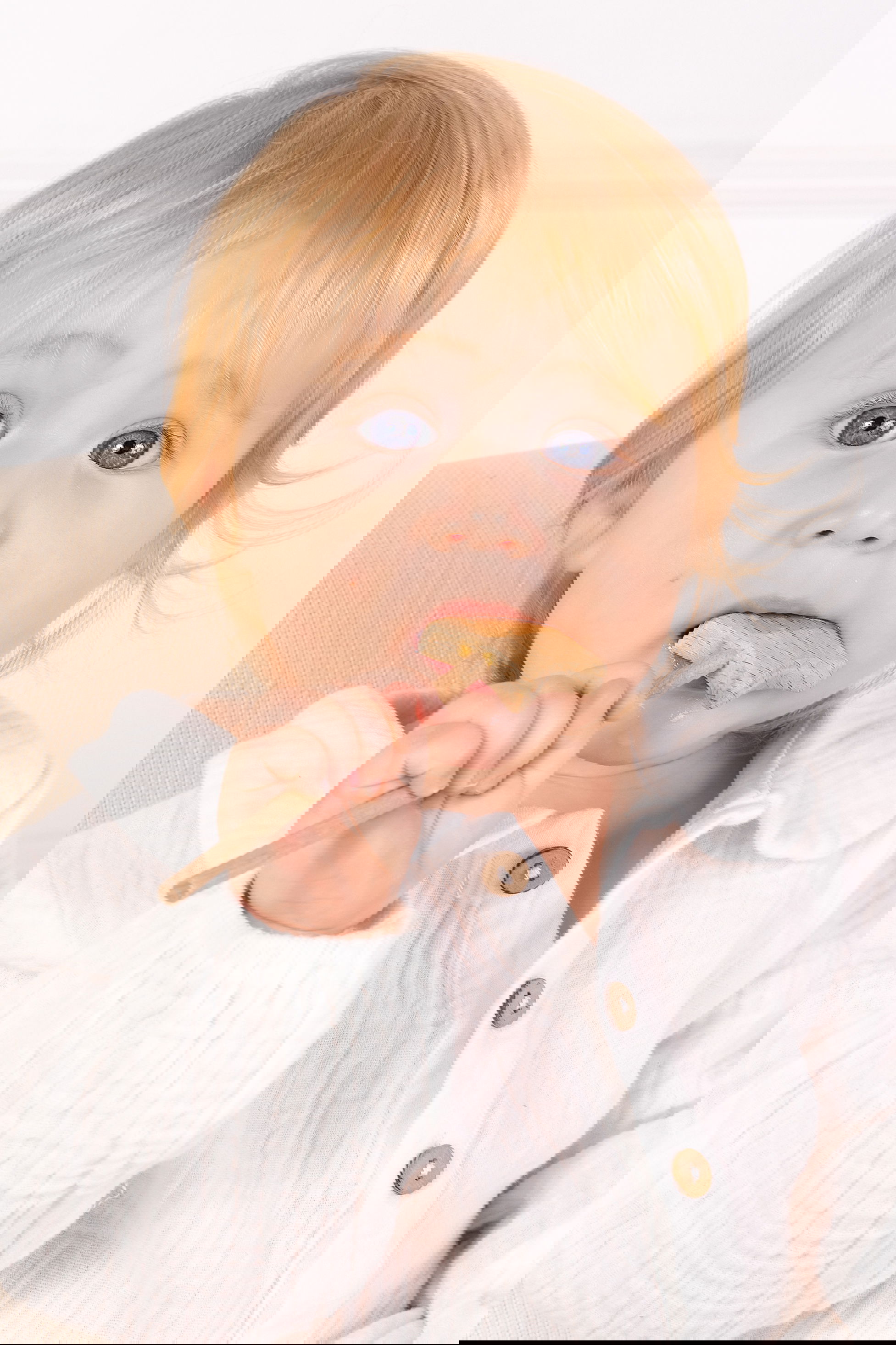 פרטי החבילה