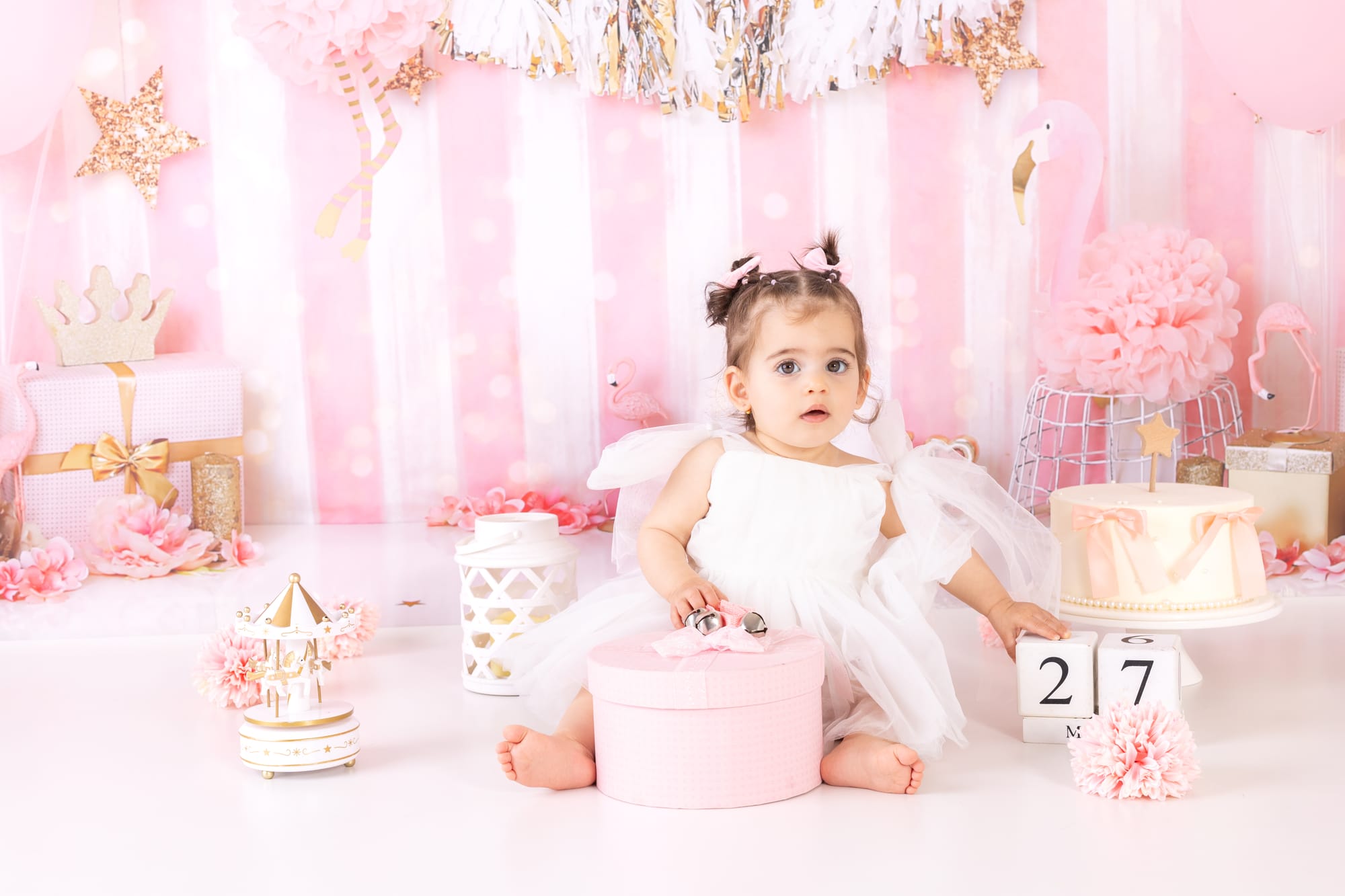 פרטי החבילה