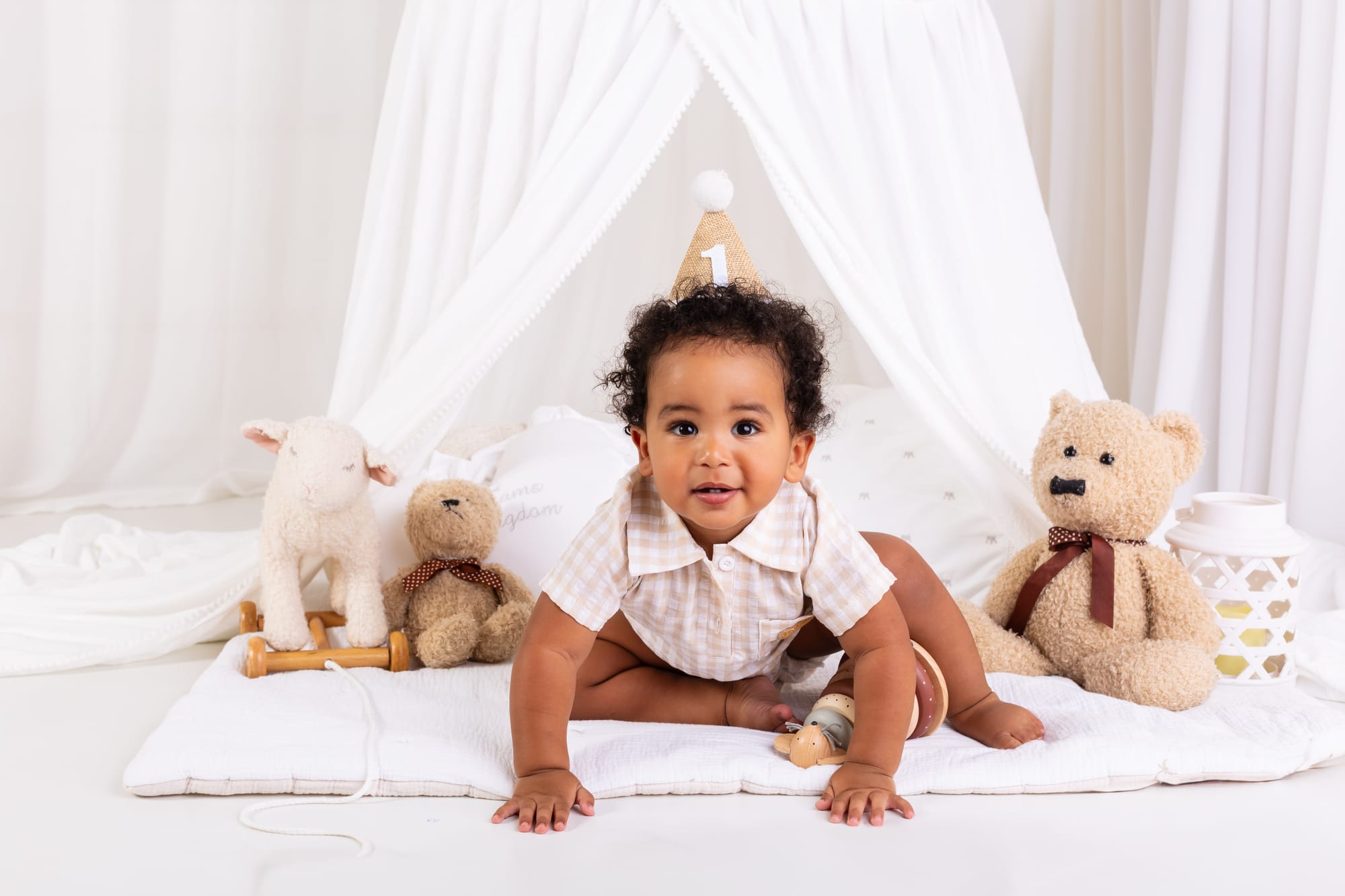 פרטי החבילה