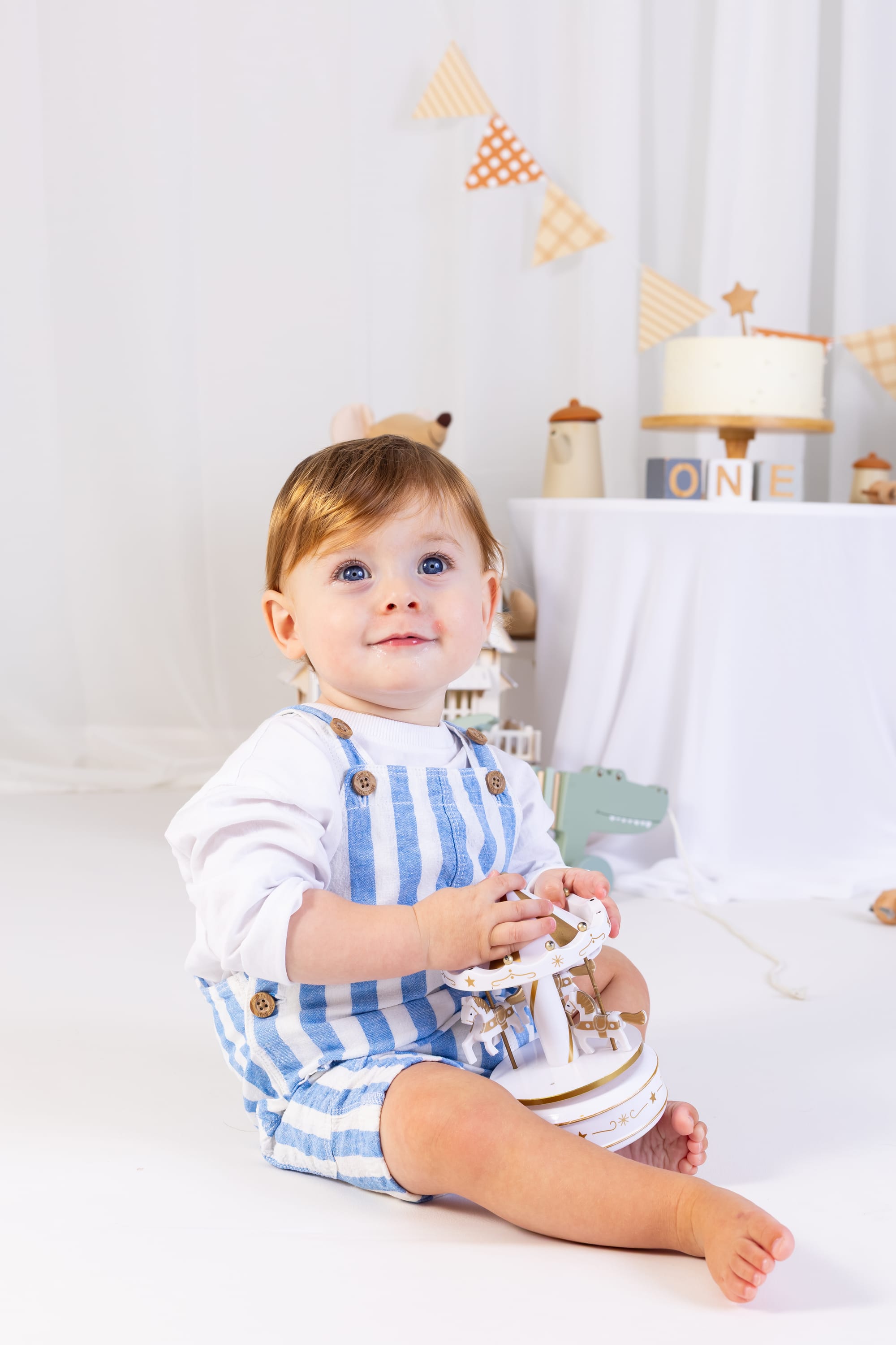 פרטי החבילה