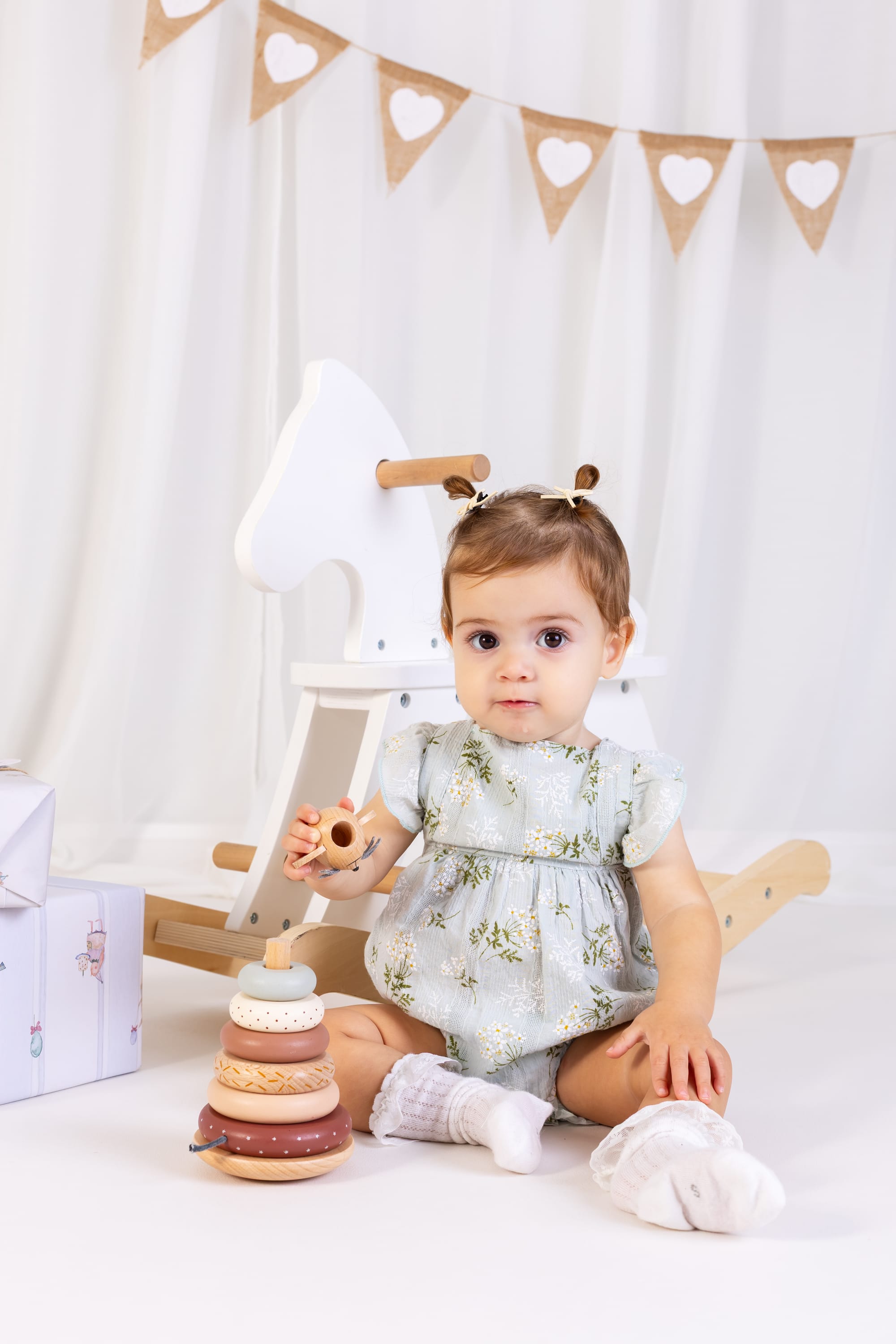 פרטי החבילה