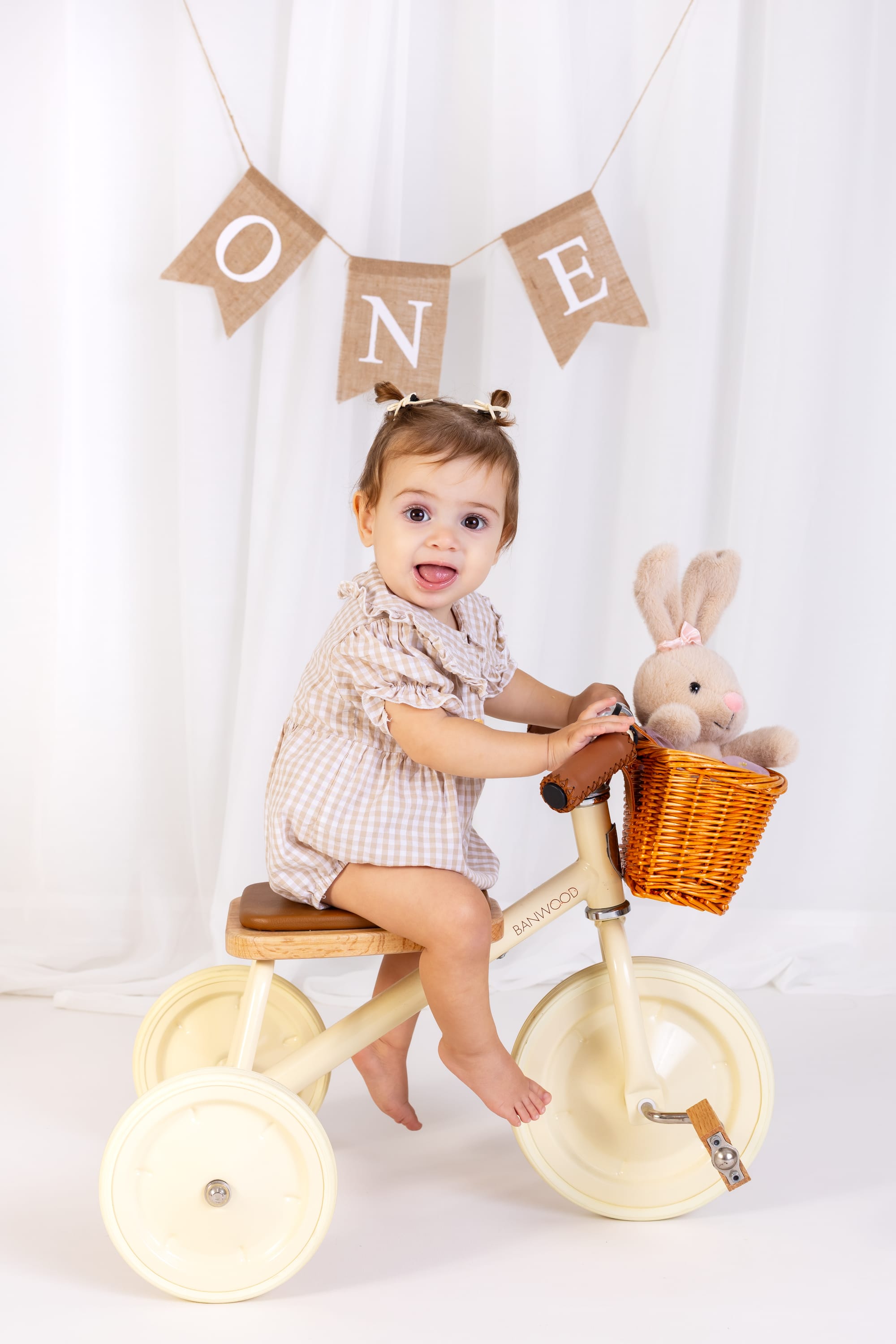 פרטי החבילה