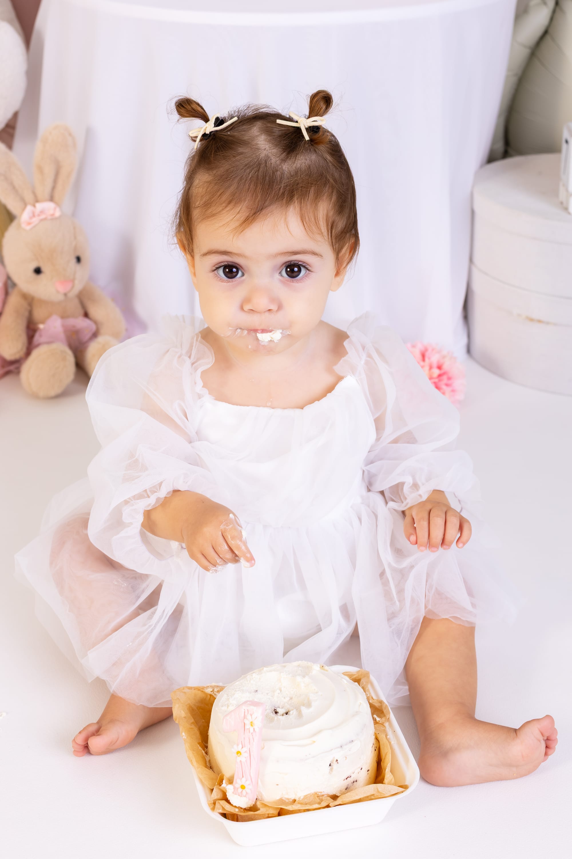 פרטי החבילה