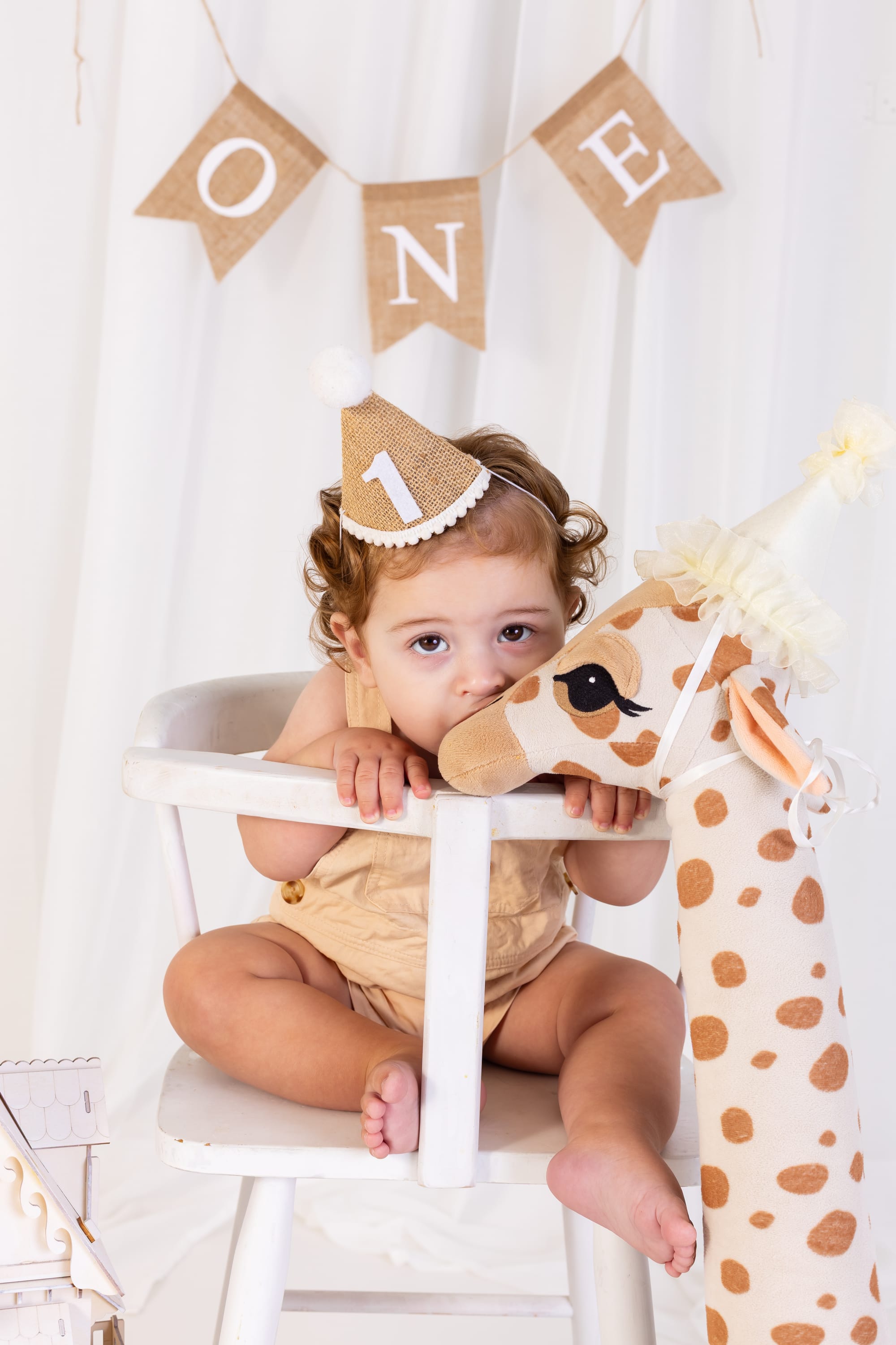 פרטי החבילה