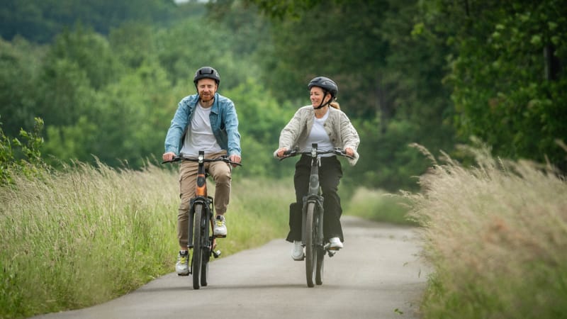 Mieten Sie ein Elektrofahrrad in Domburg