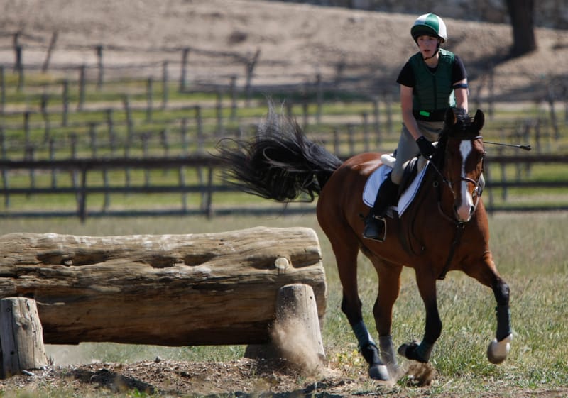 Cross Country Training - Saturday 25th Oct - 10AM -12PM