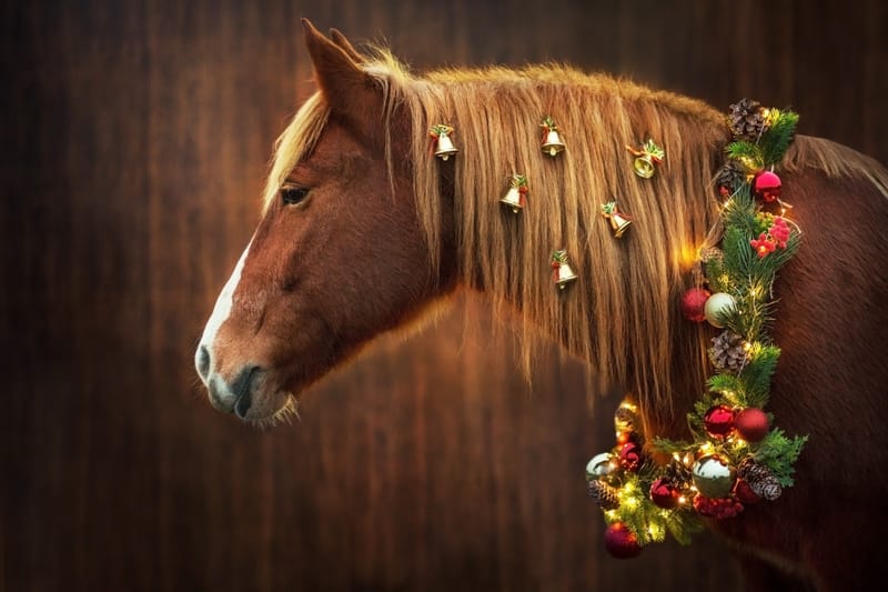 Christmas Rally - Sunday 7th December