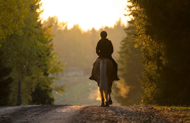 Twilight Rally - Wednesday 25 February, 2026