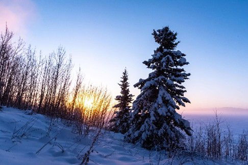 Méditation inspirée du 4e Dimanche du Carême, Année A