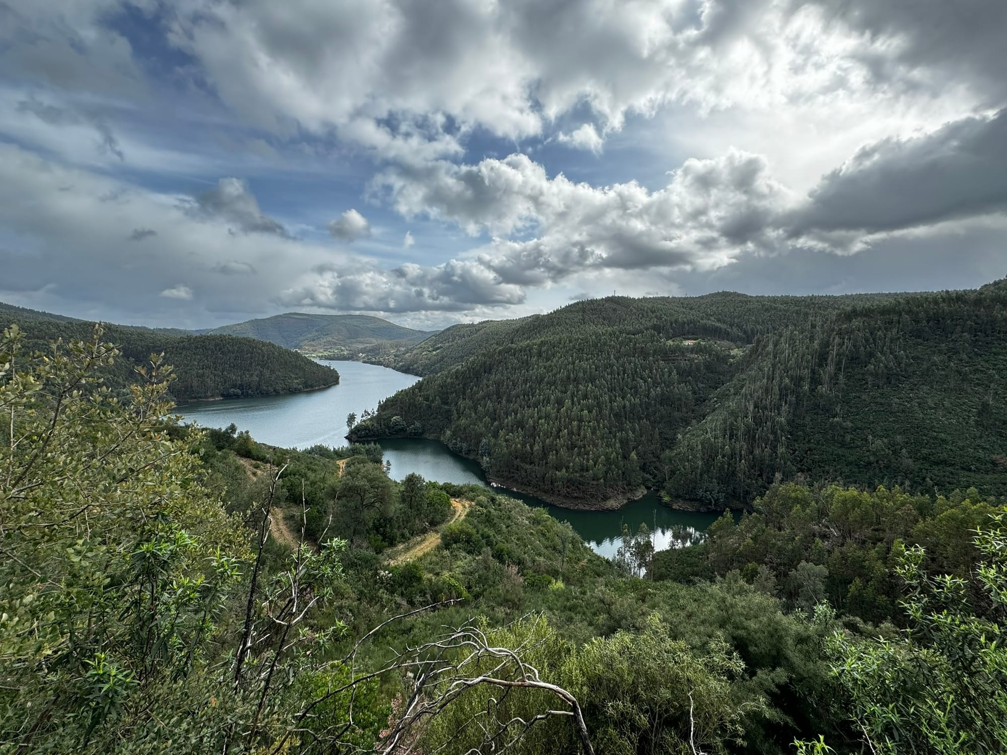 Bos wandelen naar Rivier, do Zêzere