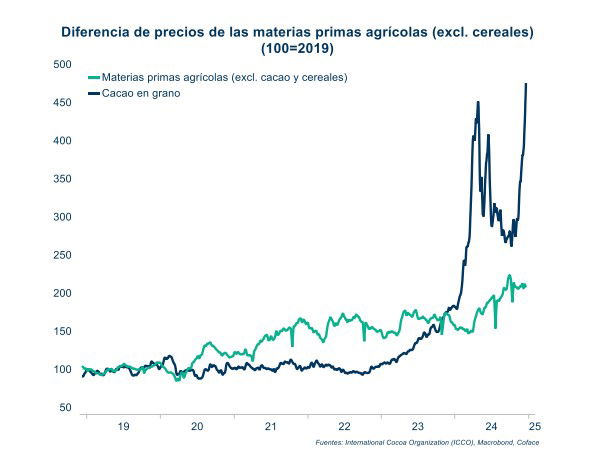 El cambio climático dispara el 50% el precio del cacao