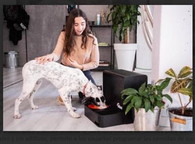 Kibus Petcare crea un robot de cocina para la mascota