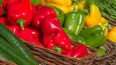 A El Ancla la vuelta del verano le importa un pimiento