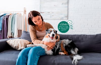 Helvetia Caser ofrece 5 claves para el bienestar de la mascota