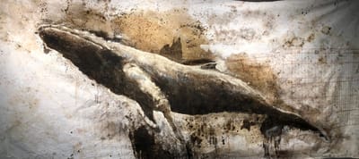 Esteban Ruiz reinventa Moby Dick