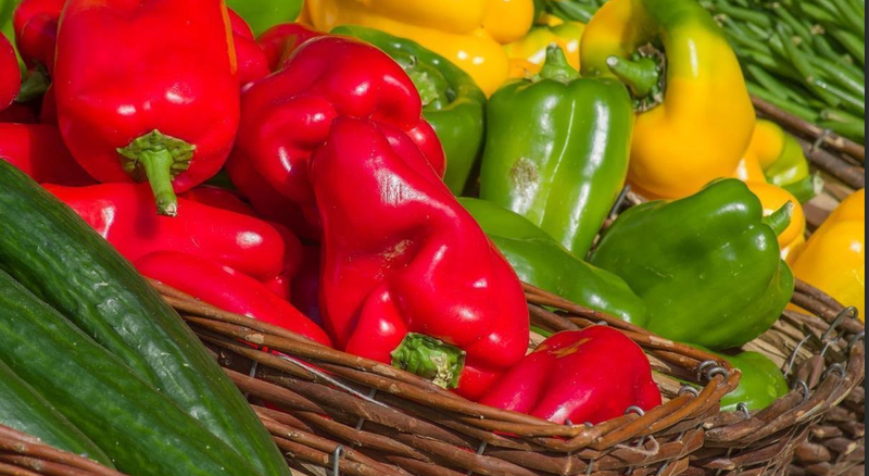 Fiesta del pimiento en El Ancla del Lago