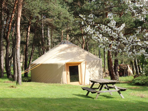 Week end Yoga - Nature, Un souffle pour soi