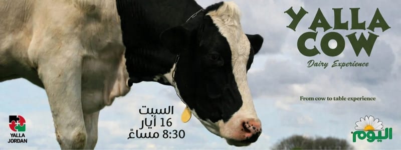 Yalla Cow - Al Yom Factory