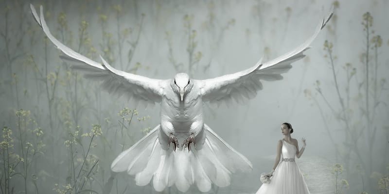 16. Holdnap – Szimbóluma a Galamb