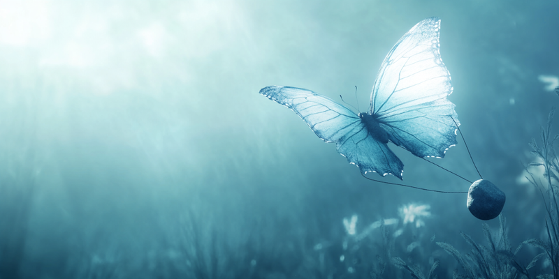 A Nyilas Nő, Aki Soha Nem Adta Fel – Egy Igaz Történet a Kitartásról és Újrakezdésről