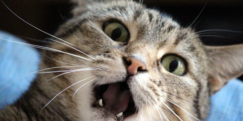 Sorscsapások Sorozata- Képességeink és Lehetőségeink Fel Nem Ismerése