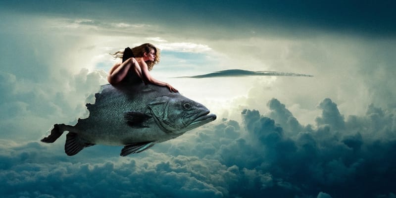 A Halak Legnagyobb Titka: Miért Látják Ők a Világot Másképp?