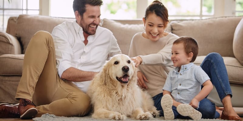 Mi határozza meg a gondolataidat, érzelmeidet és cselekvéseidet az asztrológiában?