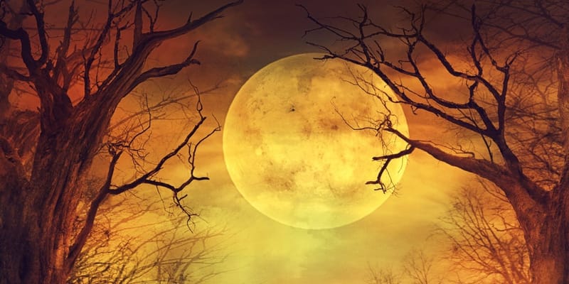 Bak és Szabadidő, Spirituális Fejlődés és a Hold Kapcsolata