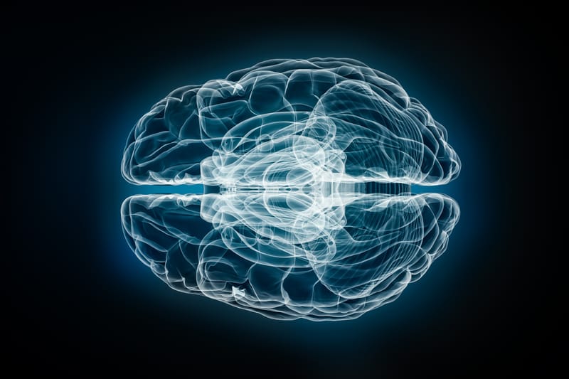 GATEWAY-PROCESS: CIA - A Belső Kapu