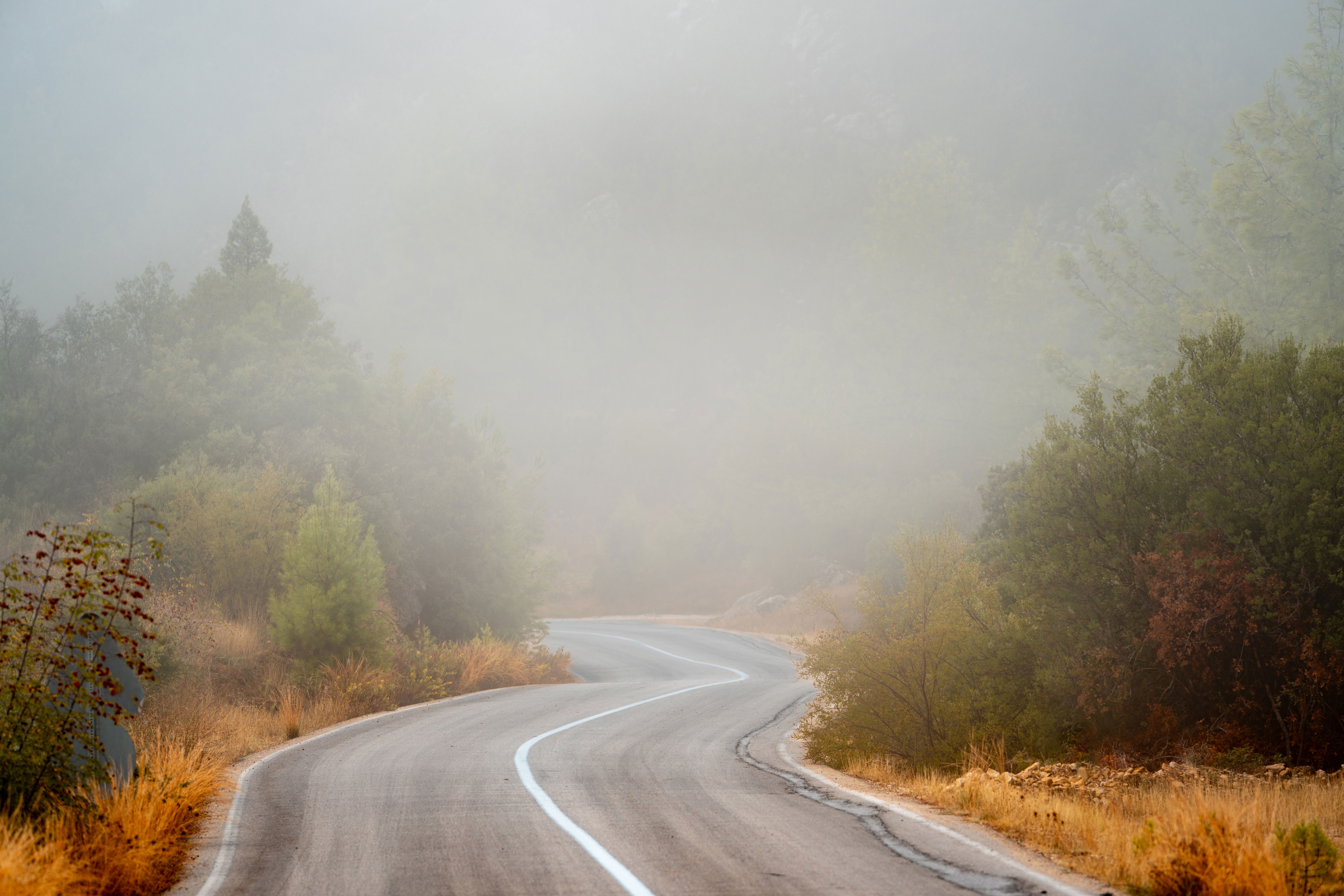 Kanyargó út ködben, karmikus minták felismerése és továbblépés